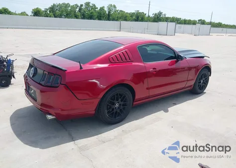 2014 Ford Mustang V6 z USA, uszkodzony, nr VIN 1ZVBP8AM0E5278005